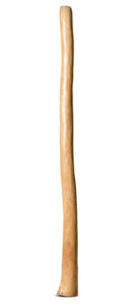 Medium Size Natural Finish Didgeridoo (TW1042)